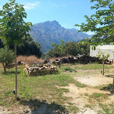 Maison De Cappella Corse Holiday home Olmi-Cappella